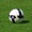 Dacia-2 Buiucani - Sparta 0:1