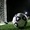 FC Edine? - Iskra 1:1