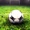 Sheriff-2 - Edine? 5:0 (actualizat)