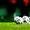 Spicul - Zimbru-2 0:0
