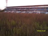 Что стало со стадионом "Тигины" (фото)