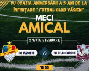В честь годовщины с даты основания ФК "Вэсиень" сыграет в спарринге с клубом из Суперлиги
