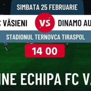 Dinamo-Auto va disputa un amical cu FC Văsieni